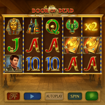 IWild Casino - Book of Dead Slot Game