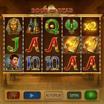 IWild Casino - Book of Dead Slot Game